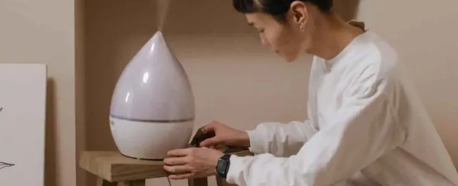 Beste luchtbevochtiger