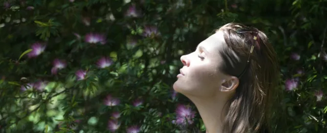 Beste luchtontvochtiger