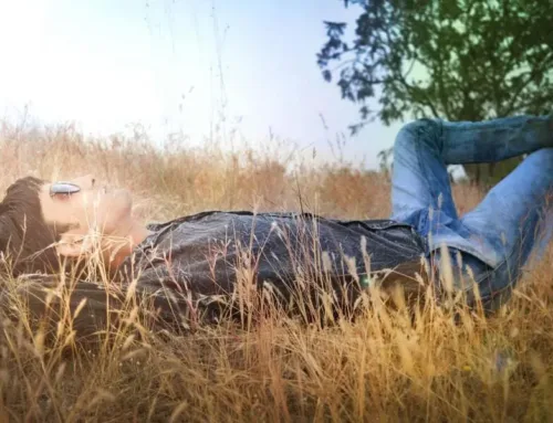 De beste daglichtbril en lichttherapiebril van 2025!